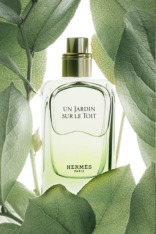عطر اکسیر